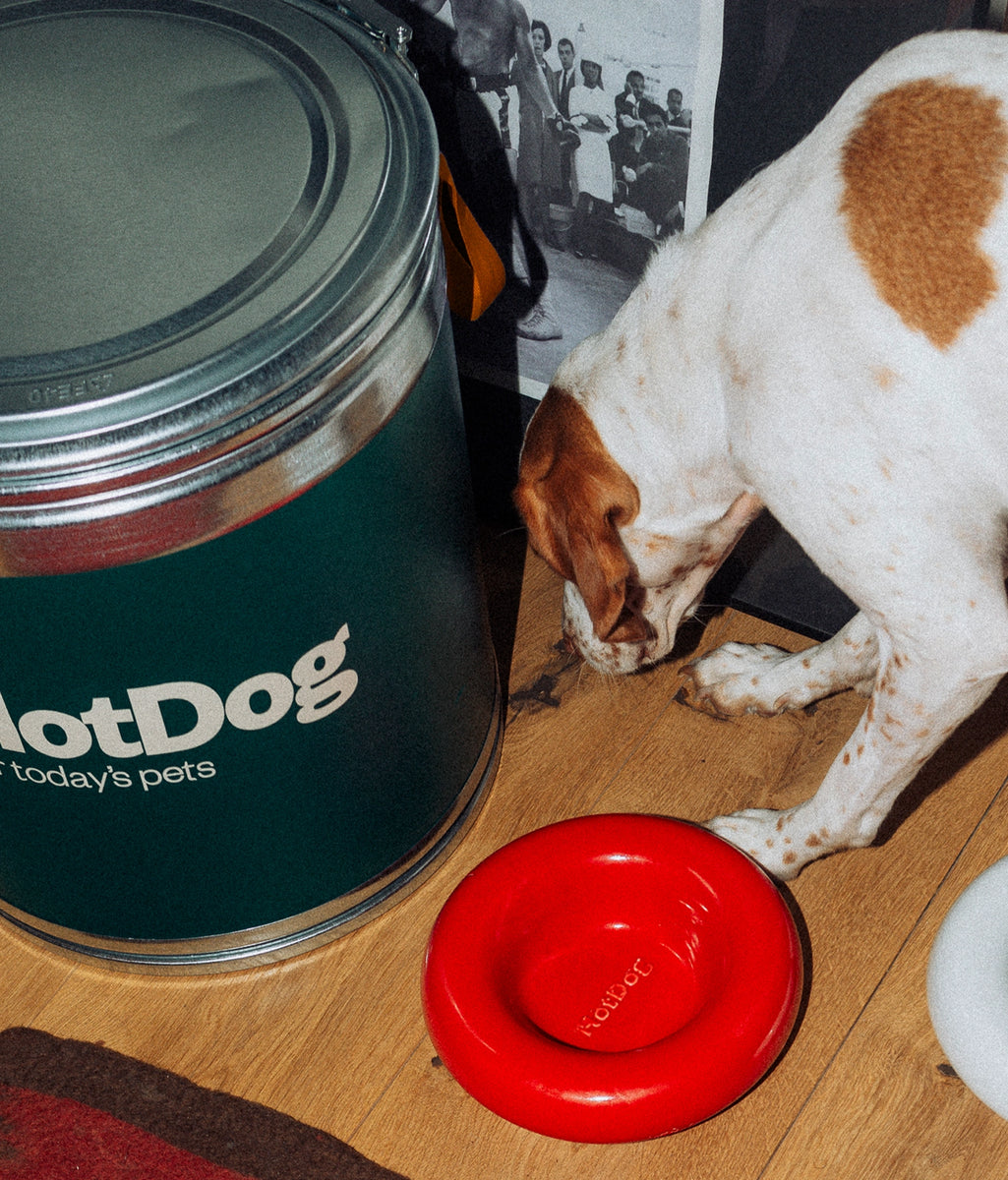 Red ceramic bowl – hotdogpets.co